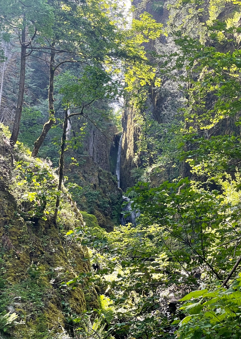 Upper tiers of Pacific Crest Falls, Oregon