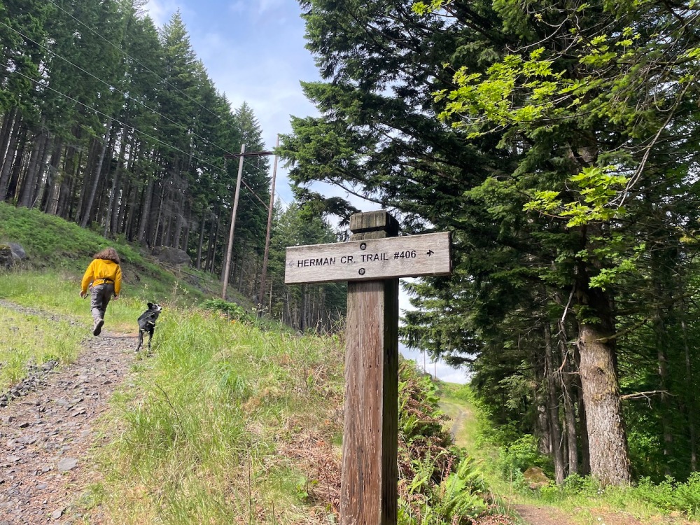 Herman Creek Trail sign